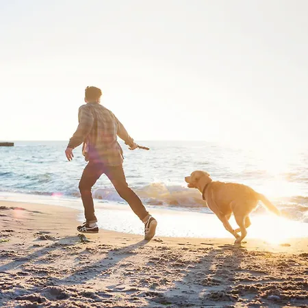 Ostseeferienpark Walkyrien - Kapitaen 39 Hébergement de vacances