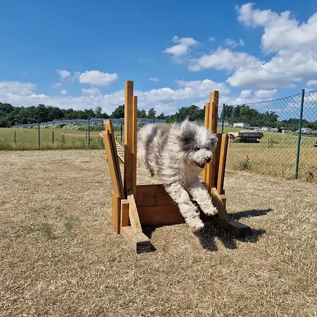 Ostseeferienpark Walkyrien - Kapitaen 39 Hébergement de vacances