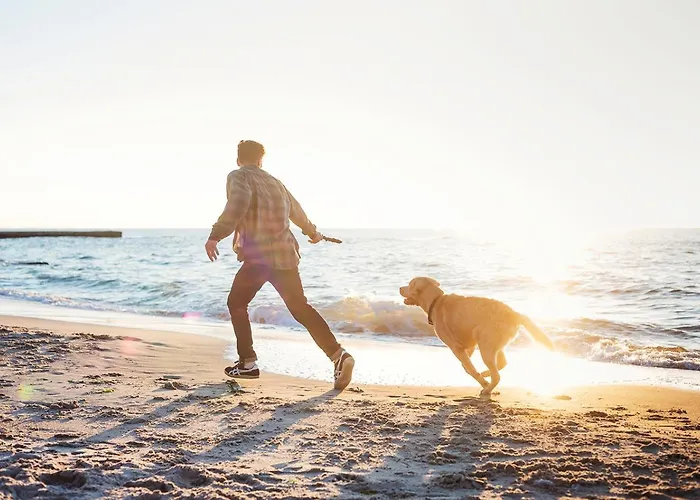 Ostseeferienpark Walkyrien - Kapitaen 39 Semesterbostad