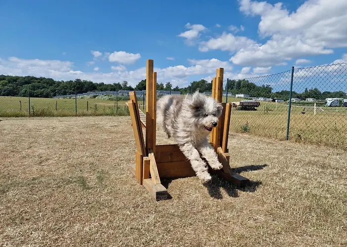 Ostseeferienpark Walkyrien - Kapitaen 39 Semesterbostad